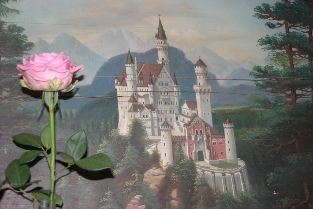 Haus Magnolia Apartment Schwangau Luaran gambar